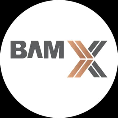 BAMX Development logo